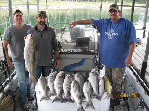 Nice Striped Bass